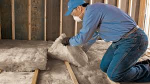 Best Insulation for Existing Homes  in Haltom City, TX