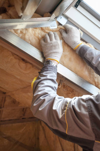 Best Insulation for New Construction  in Haltom City, TX