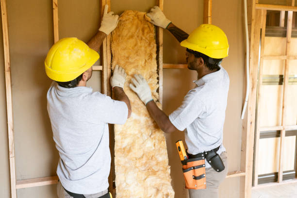 Types of Insulation We Offer in Haltom City, TX